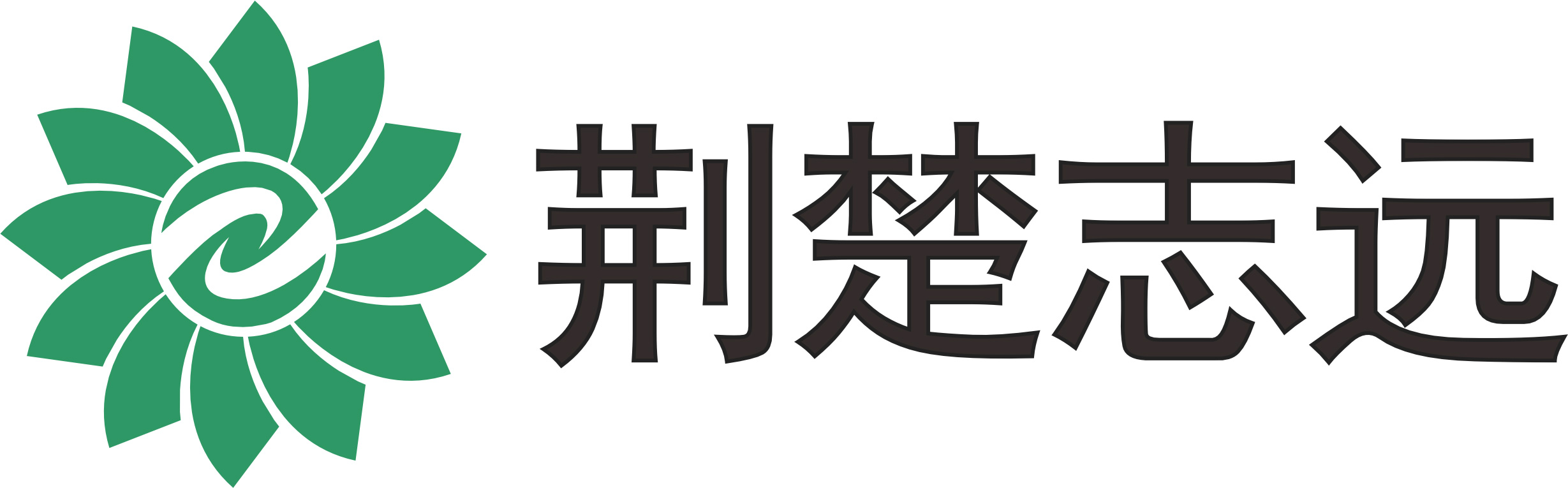 荆门志远环保设备有限公司